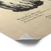  1831 paddenstoel Variëteit Groen bruin afdrukken Poster (Hoek)