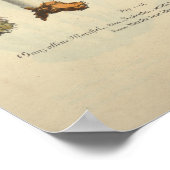 1831 paddenstoel Variëteit Groen bruin afdrukken Poster (Hoek)