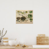 1831 paddenstoel Variëteit Groen bruin afdrukken Poster (Keuken)