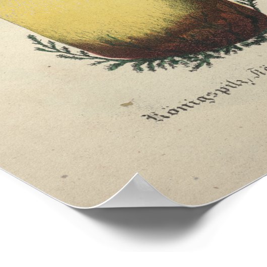  1831 paddenstoel Variëteit Roze Gele Druk Poster (Hoek)