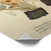  1831 paddenstoel Variety Gellow Brown Print (Hoek)