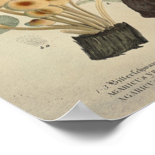  1831 paddenstoel Variety Gellow Brown Print (Hoek)