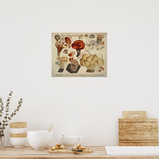  1831 paddenstoel Variety Gellow Brown Print (Keuken)