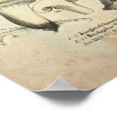 1831 paddenstoel Variety Gellow Brown Print (Hoek)