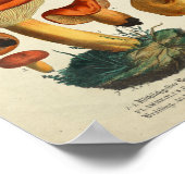  1831 paddenstoel Variety Gellow Brown Print (Hoek)