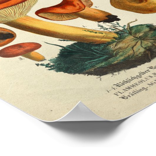  1831 paddenstoel Variety Gellow Brown Print (Hoek)