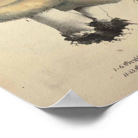  1831 paddenstoel Variety Gellow Brown Print (Hoek)