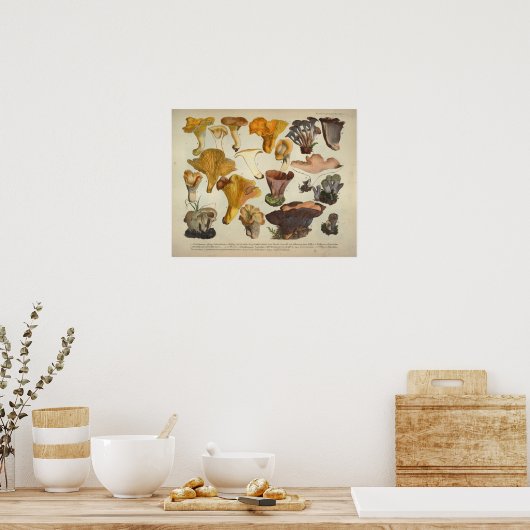 1831 paddenstoel Variety Gellow Brown Print (Keuken)