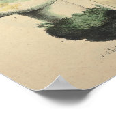 1831 paddenstoelvariëteit Blauw bruin afdrukken Poster (Hoek)