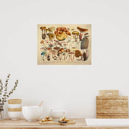 1831 paddenstoelvariëteit Bruin afdrukken Poster (Keuken)