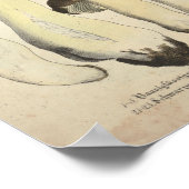 1831 paddenstoelvariëteit Bruin Duits print (Hoek)