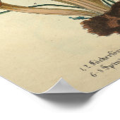  1831 paddenstoelvariëteit Bruin Fungus Print (Hoek)