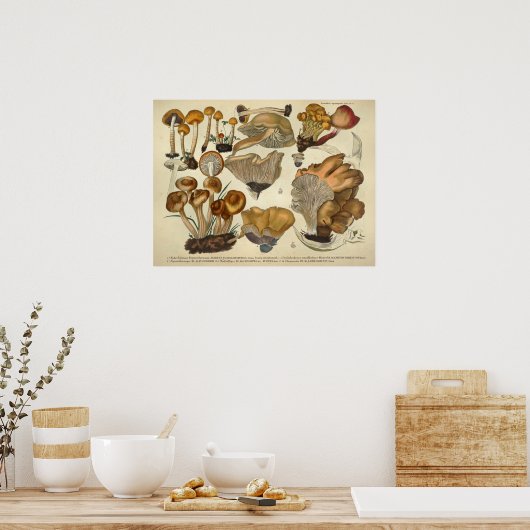  1831 paddenstoelvariëteit Bruin Fungus Print (Keuken)