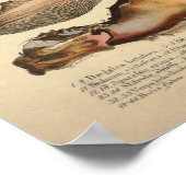 1831 paddenstoelvariëteit Bruin Geel Druk Poster (Hoek)