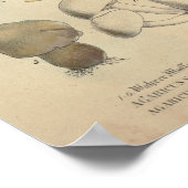  1831 paddenstoelvariëteit Bruin Pet afdrukken Poster (Hoek)