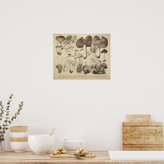1831 paddenstoelvariëteit Bruin Pet afdrukken Poster (Keuken)