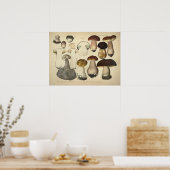  1831 paddenstoelvariëteit Bruin Pet afdrukken Poster (Keuken)