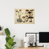  1831 paddenstoelvariëteit Bruin Pet afdrukken Poster (Thuiskantoor)