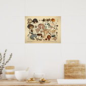 1831 paddenstoelvariëteit Bruin Rood afdrukken Poster (Keuken)