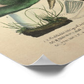  1831 paddenstoelvariëteit Geel groen afdrukken Poster (Hoek)