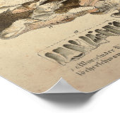  1831 paddenstoelvariëteit Geel groen afdrukken Poster (Hoek)