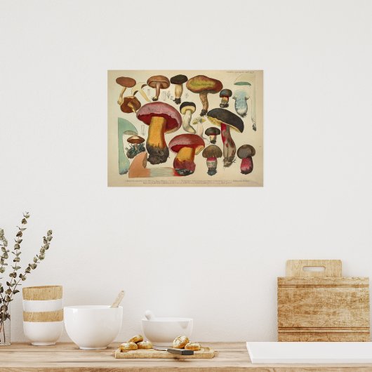 1831 paddenstoelvariëteit Geel rood afdrukken Poster (Keuken)