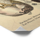  1831 paddenstoelvariëteit Groen rood afdrukken Poster (Hoek)