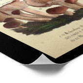  1831 paddenstoelvariëteit Oranje donker afdrukken Poster (Hoek)