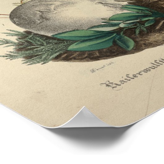  1831 paddenstoelvariëteit Oranje geel afdrukken Poster (Hoek)