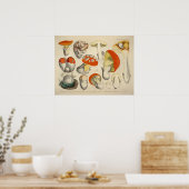  1831 paddenstoelvariëteit Oranje geel afdrukken Poster (Keuken)