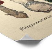 1831 paddenstoelvariëteit Oranje Paarse afdrukken Poster (Hoek)