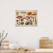 1831 paddenstoelvariëteit Oranje Paarse afdrukken Poster (Keuken)