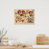 1831 paddenstoelvariëteit Rood Blauw afdrukken Poster (Keuken)