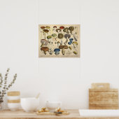  1831 paddenstoelvariëteit Rood Blauw afdrukken Poster (Keuken)