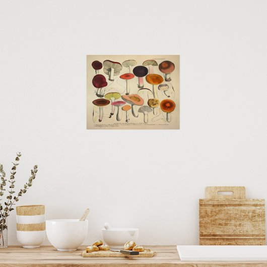  1831 paddenstoelvariëteit Rood Oranje afdrukken Poster (Keuken)