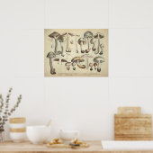  1831 paddenstoelvariëteit White Brown Print (Keuken)