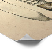  1831 paddenstoelvariëteit White Brown Print (Hoek)