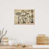  1831 paddenstoelvariëteit White Brown Print (Keuken)