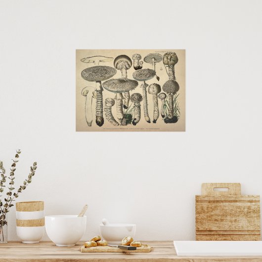 1831 paddenstoelvariëteit White Brown Print (Keuken)