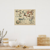 1831 paddenstoelvariëteit Wit Pet Afdrukken Poster (Keuken)
