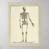  1831 Skeletanatomie Afdrukken Poster (Voorkant)