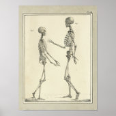 1831 Skeletanatomie Afdrukken Poster (Voorkant)