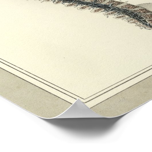  1831 Spinale ventilatie Anatomie Print (Hoek)