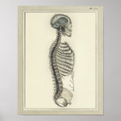 1831 Spinale ventilatie Anatomie Print (Voorkant)