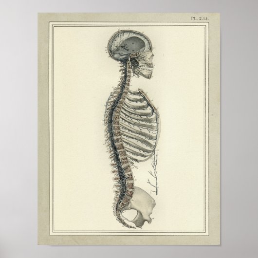  1831 Spinale ventilatie Anatomie Print (Voorkant)