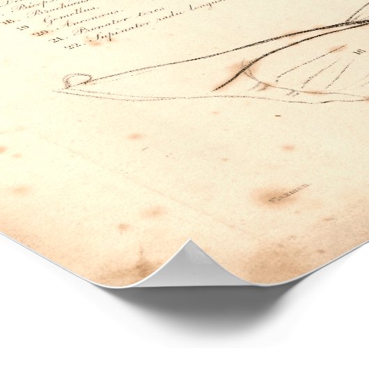 1833 -armspieren Afdrukken Poster (Hoek)