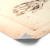 1833 -armspieren Afdrukken Poster (Hoek)