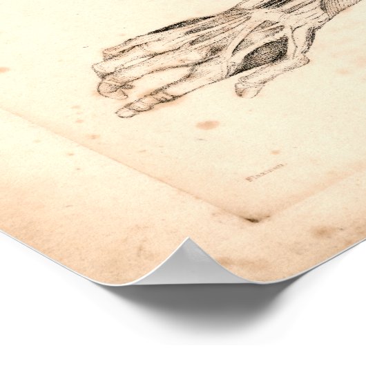 1833 -armspieren Afdrukken Poster (Hoek)