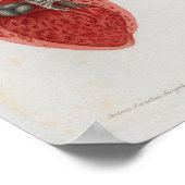 1833  Heart intern anatomie Poster (Hoek)