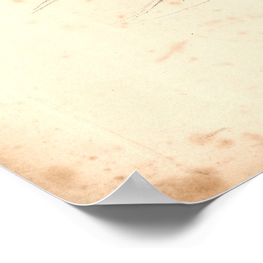 1833 Hoofd- en nekspieren  anatomie Afdrukken Poster (Hoek)